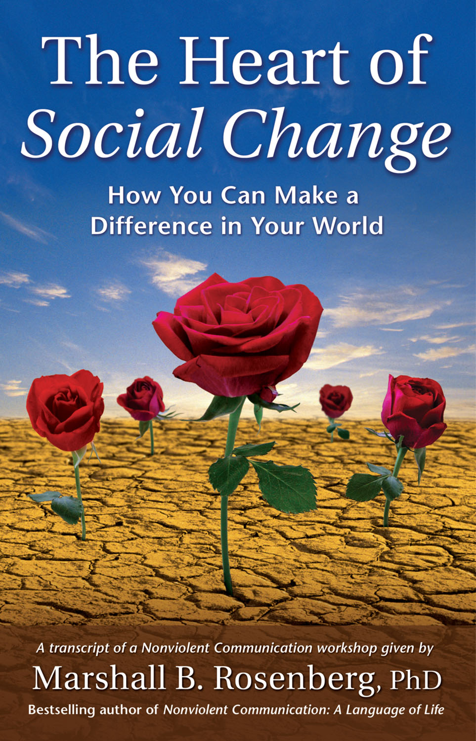 The Heart of Social Change Book Cover